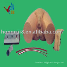 HR/H27 Electronic Urethral Catheterization Model